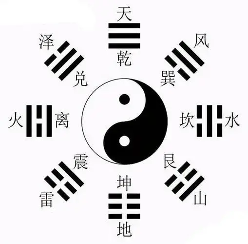 八卦天天看网红猴哥视频-_八卦介绍 八卦的符号 八卦的解读